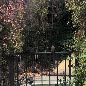 Meet your Posher, Dylan